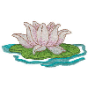 LILY PAD AND FLOWER