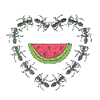 ANTS WITH WATERMELON