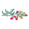 FLORAL BORDER