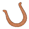 HORSE SHOE