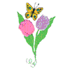 BUTTERFLY AND FLOWERS