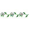 WHITE FLORAL BORDER