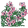 CROSS STITCH WILD PHLOX