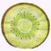 KIWI SLICE