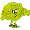 CABBAGE MAN