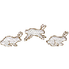 HOPPING RABBITS