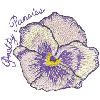 PRETTY PANSIES