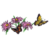 BUTTERFLIES AND FLOWERS