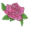 PINK ROSE