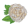 WHITE ROSE