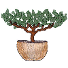 POTTED TREE
