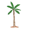 PALM TREE