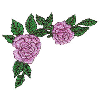 FLORAL BORDER