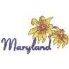 MARYLAND