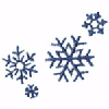 SNOWFLAKE