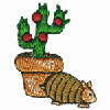 CACTUS AND ARMADILLO