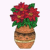 POINSETTIA