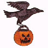 CROW W/JACK-O-LANTERN