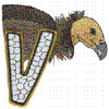 WILDLIFE VULTURE-V