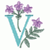 LETTER V