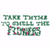 TAKE THYME TO SMELL THE FLOWERS