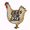 EGGS FOR SALE HEN