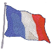 PARIS FLAG