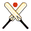 CRICKET BATS & BALL