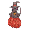 CAT WITH HAT ON TOP OF PUMPKIN