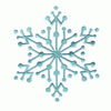 SNOWFLAKE