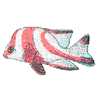 RED EMPEROR FISH
