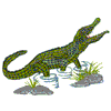 CROCODILE