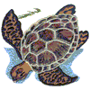 SEA TURTLE