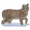 BOBCAT