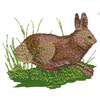 RABBIT