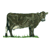 CANOWLIENNE COW