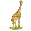 GIRAFFE