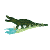 ALLIGATOR