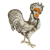 FRENCH BREED COCK