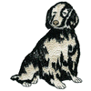 COCKER SPANIEL