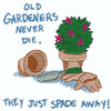 OLD GARDENERS NEVER DIE, THEY...