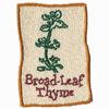 BROAD-LEAF THYME
