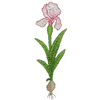 FLORAL BULB