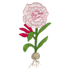 FLORAL BULB