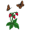 BUTTERFLIES WITH STRAWBERRIES