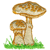 MUSHROOMS