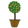 FLORAL TOPIARY