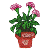 FLOWER POT