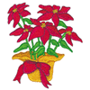 POINSETTIA