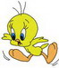 Tweety Flying